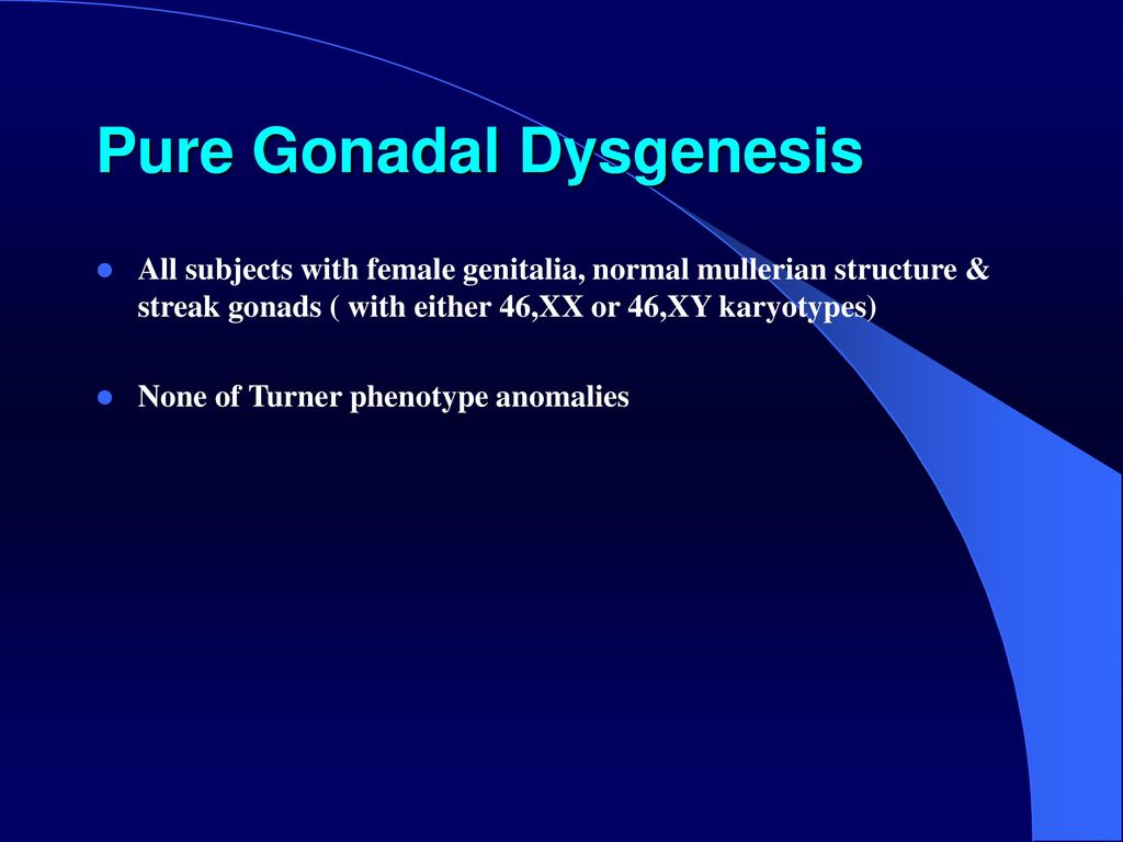 Genesis3 Female Genitalia